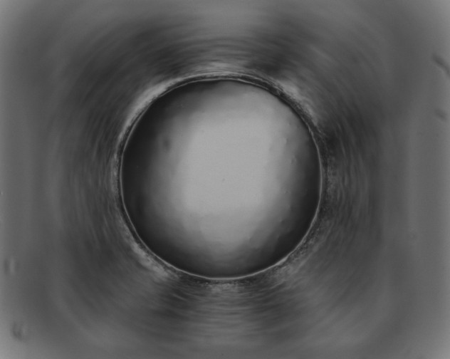 X0000091861421200709191107