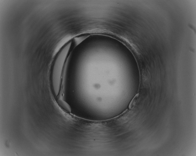 X0000091861422200709191107