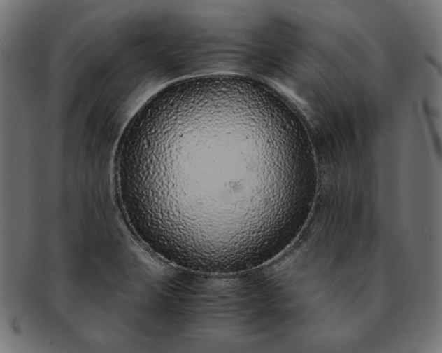 X0000091861423200709191107