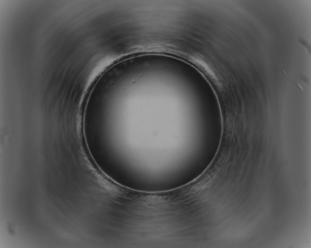 X0000091861424200709191107