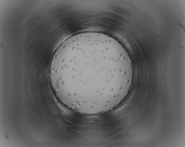 X0000091861425200709191107