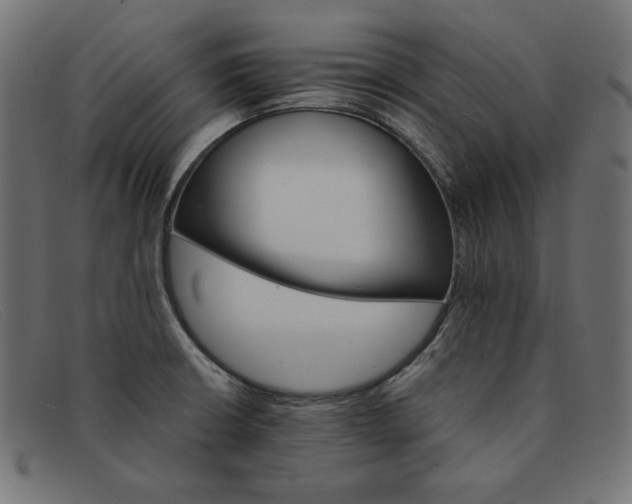 X0000091861426200709191107