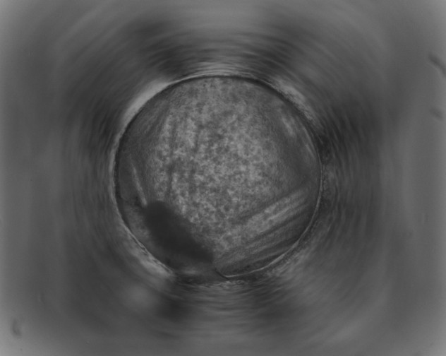 X0000091861427200709191107