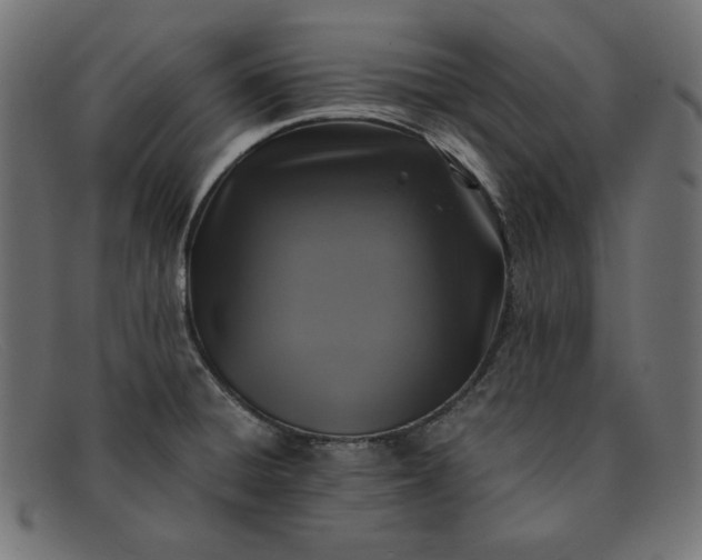 X0000091861428200709191107