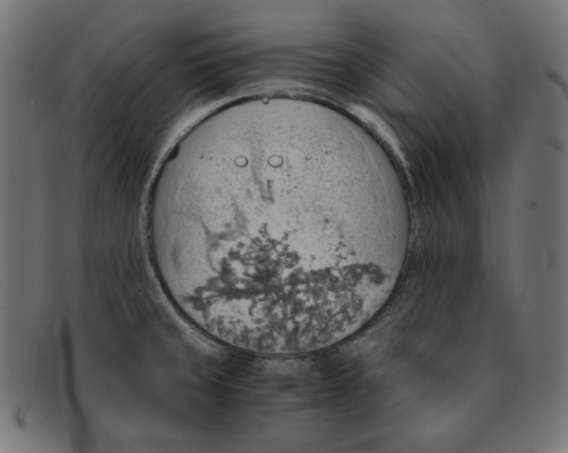 X0000091861429200709191107