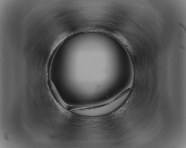 X0000091861430200709191107