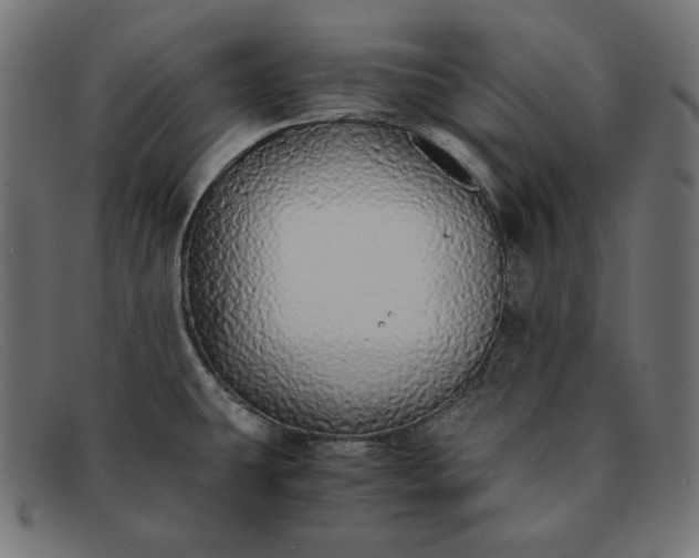 X0000091861431200709191107