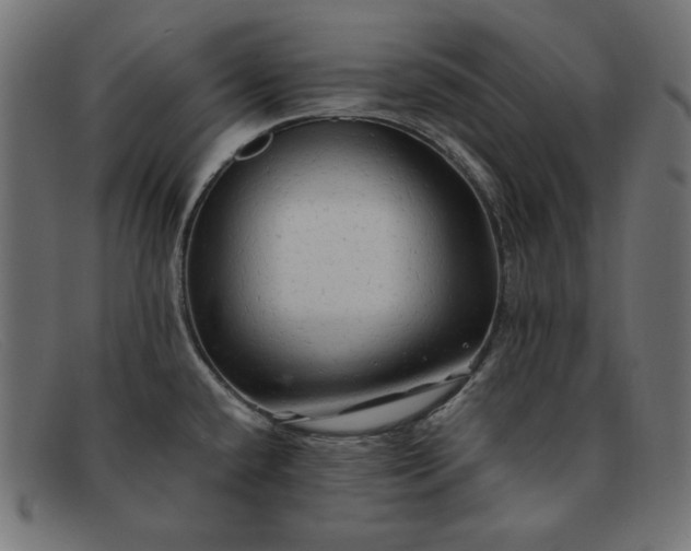 X0000091861432200709191107