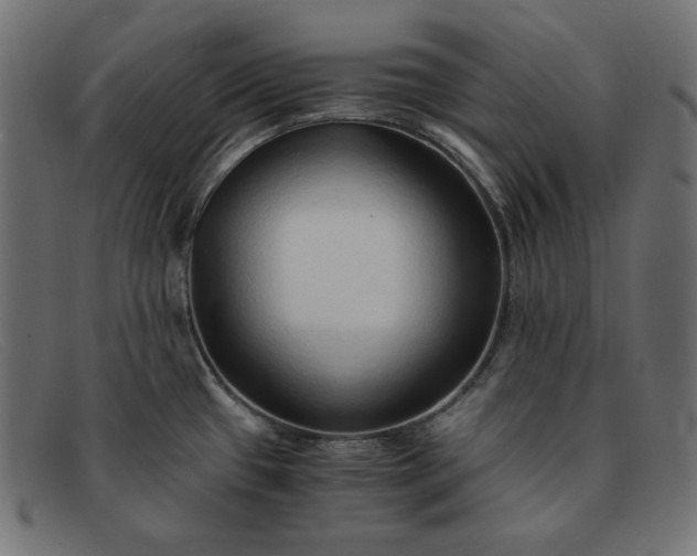 X0000091861433200709191107