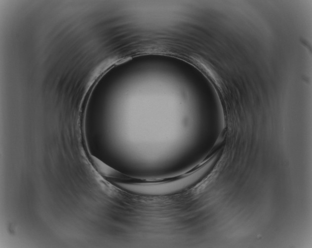 X0000091861434200709191107