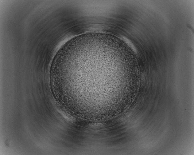 X0000091861435200709191107