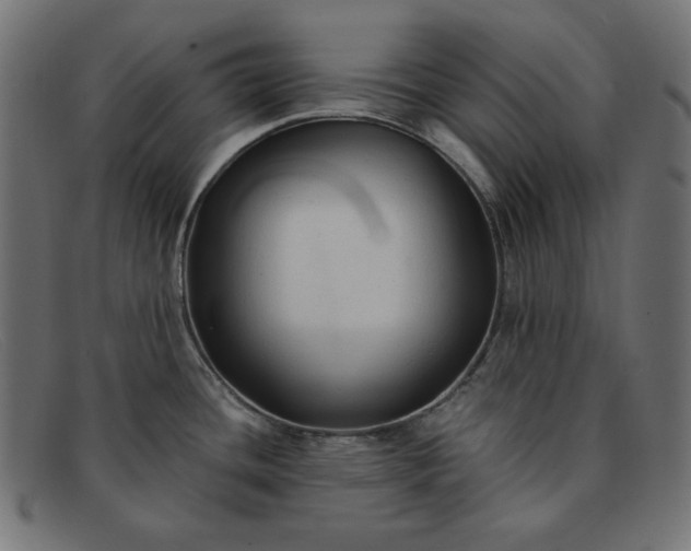 X0000091861436200709191107