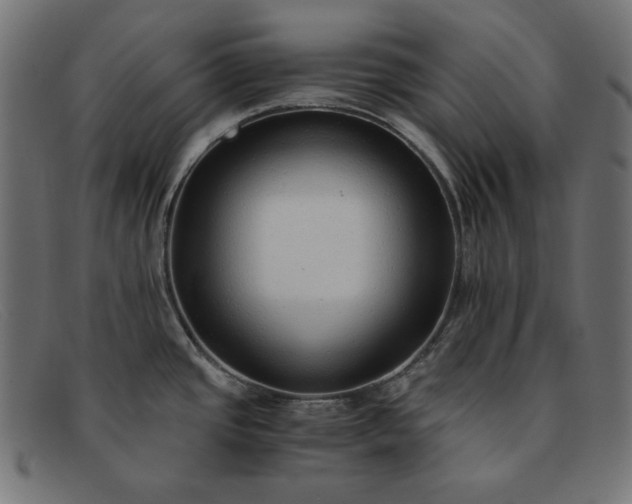 X0000091861437200709191107