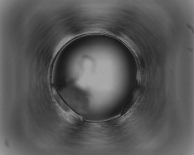 X0000091861438200709191107