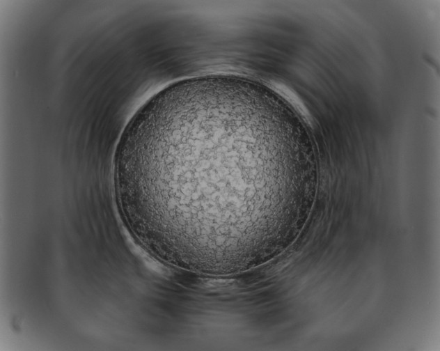 X0000091861439200709191107