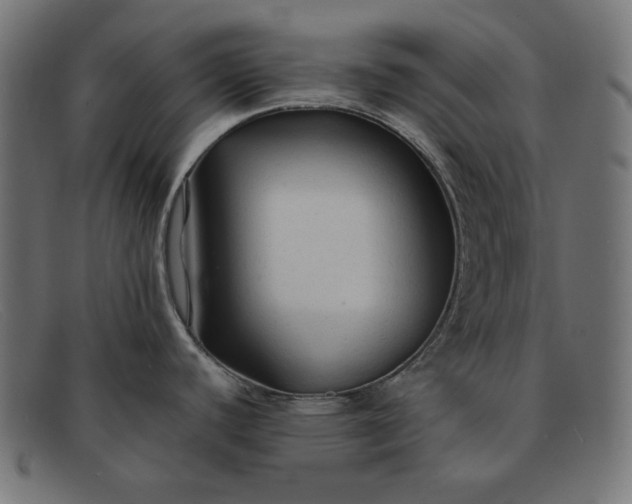 X0000091861440200709191107