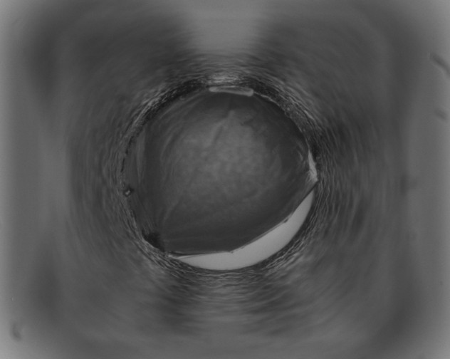 X0000091861441200709191107