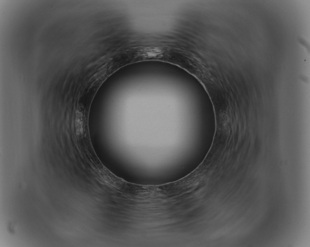 X0000091861442200709191107