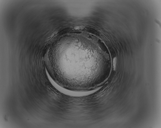 X0000091861443200709191107