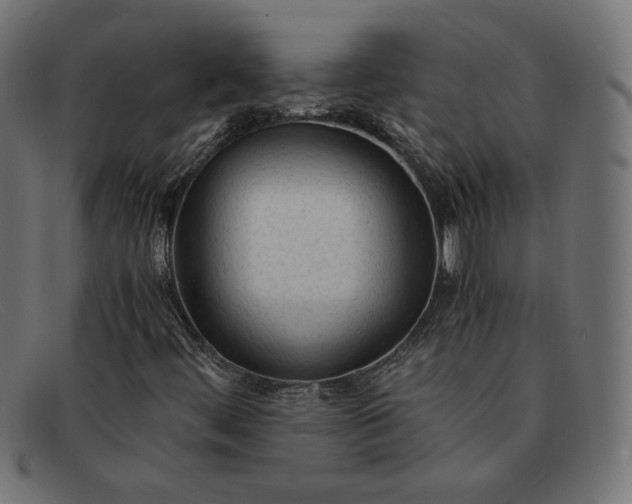 X0000091861444200709191107