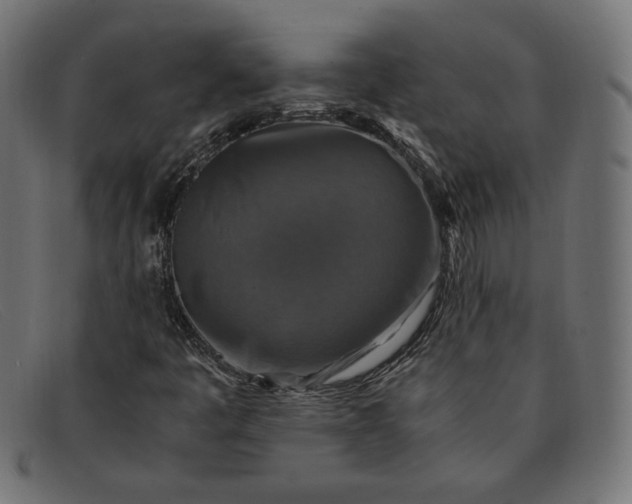 X0000091861445200709191107