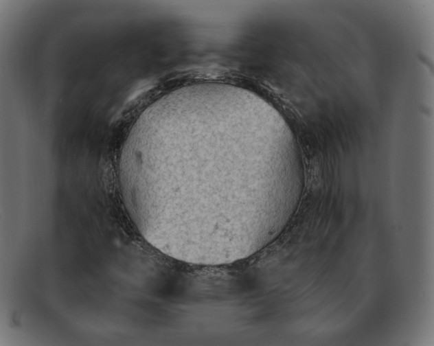 X0000091861446200709191107