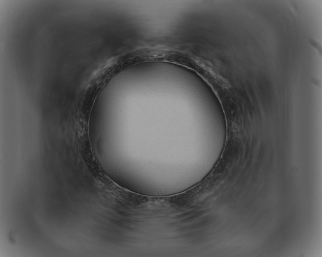 X0000091861447200709191107