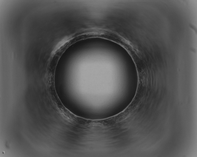 X0000091861448200709191107