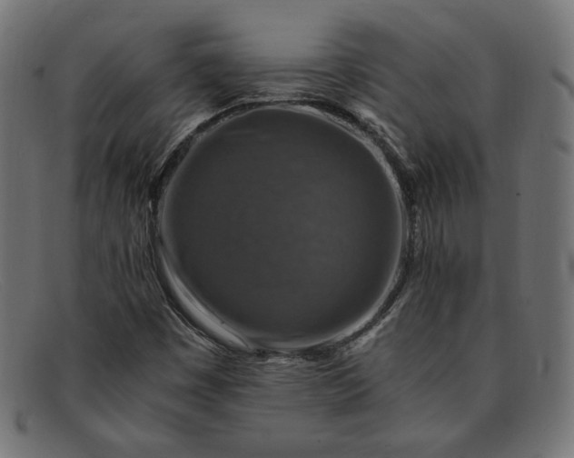 X0000091861449200709191107