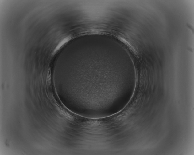 X0000091861450200709191107