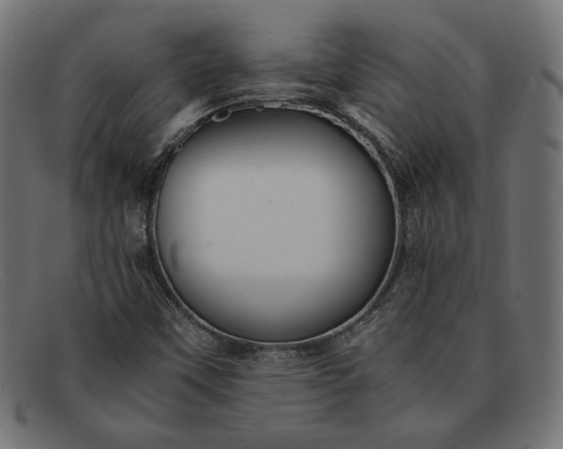 X0000091861451200709191107