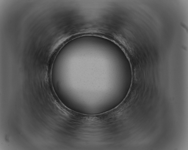 X0000091861452200709191107