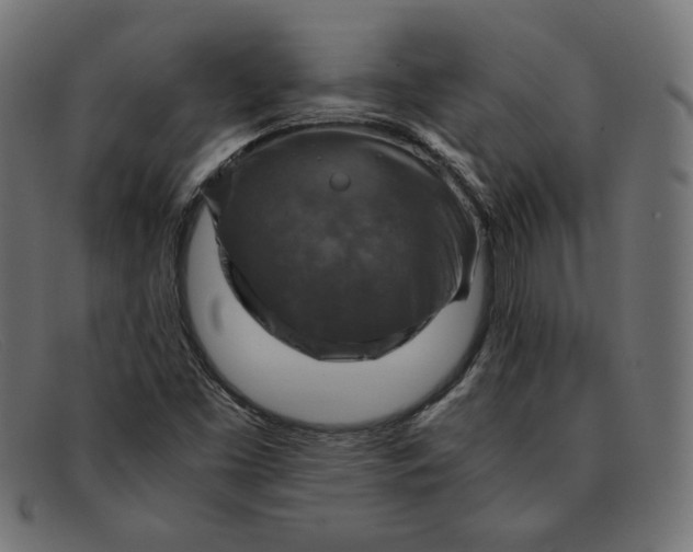 X0000091861453200709191107