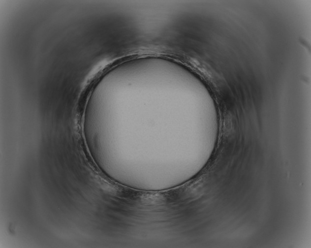 X0000091861454200709191107