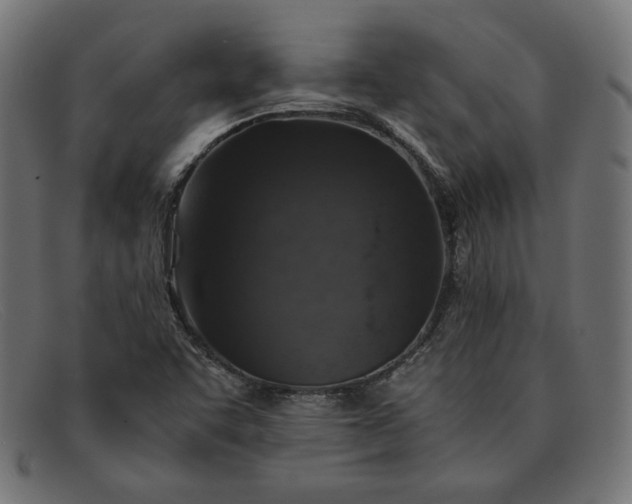 X0000091861455200709191107