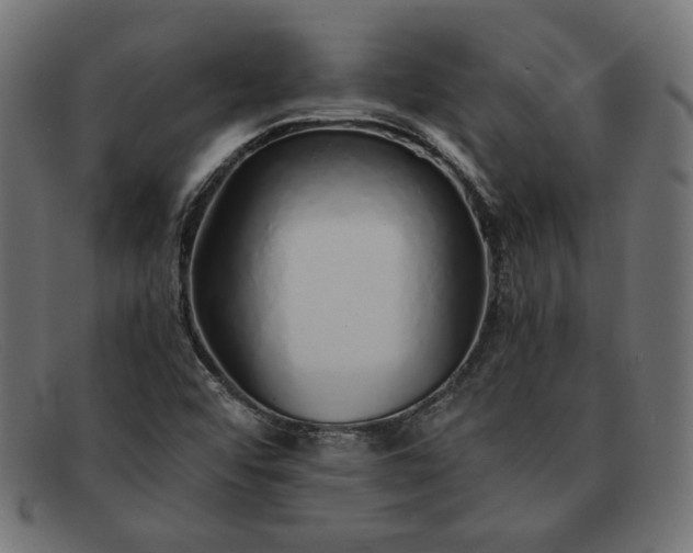 X0000091861456200709191107