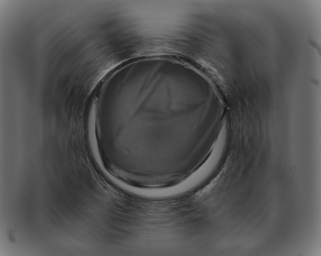 X0000091861457200709191106