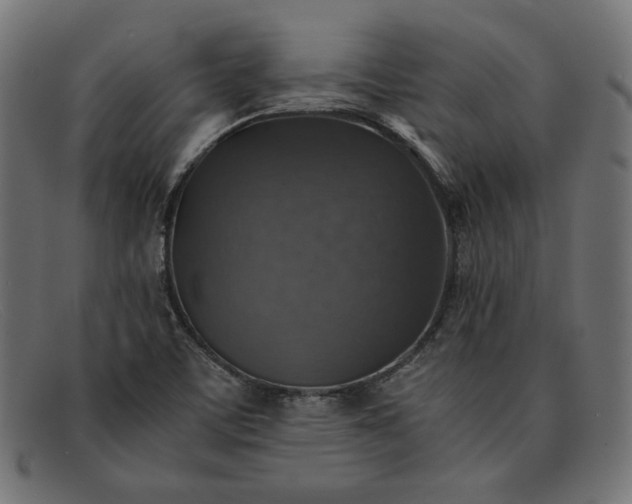 X0000091861459200709191106