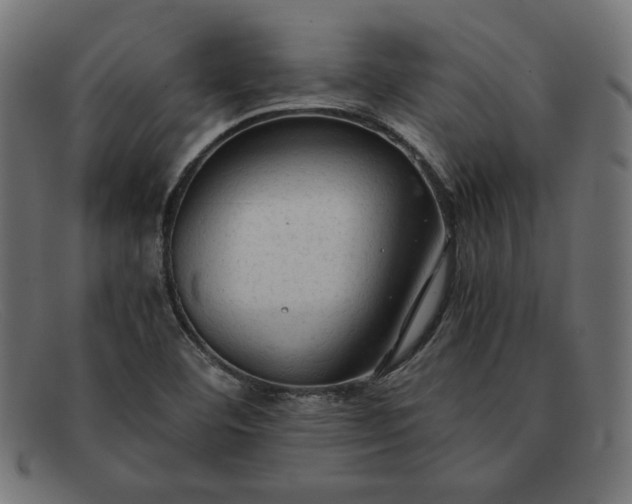 X0000091861460200709191106