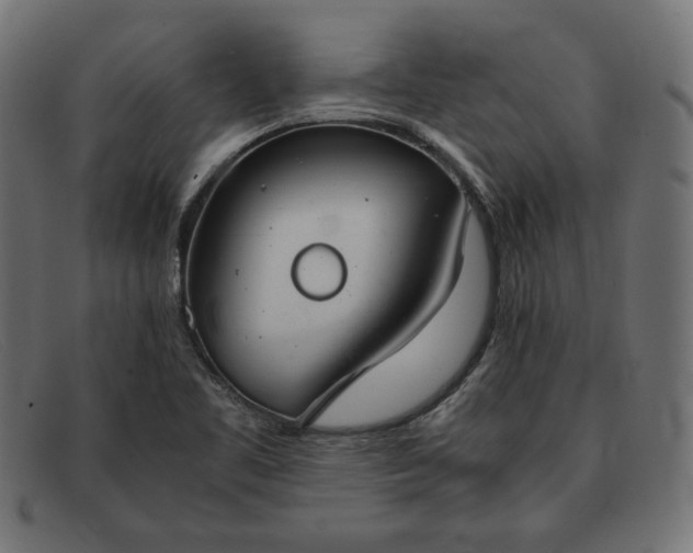 X0000091861461200709191106