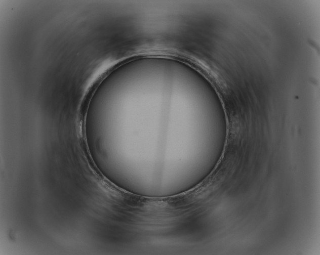 X0000091861462200709191106