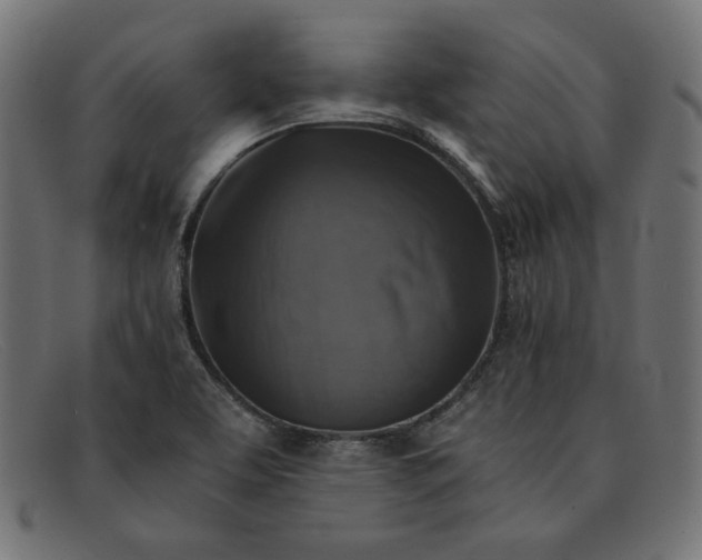 X0000091861463200709191106