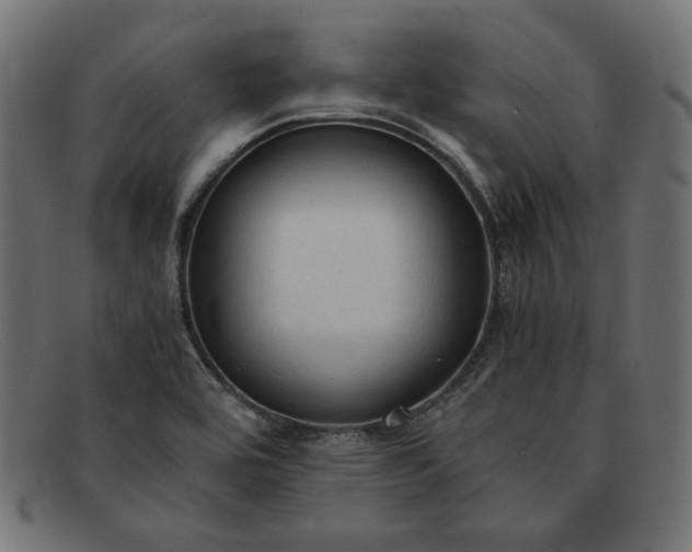 X0000091861464200709191106