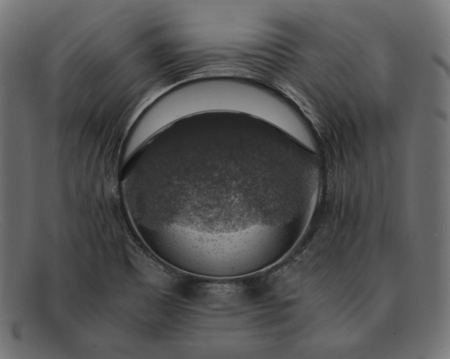 X0000091861465200709191106