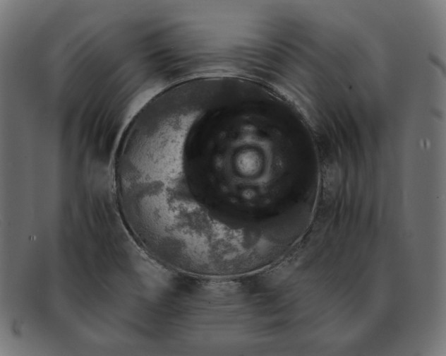 X0000091861466200709191106