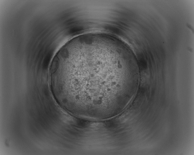 X0000091861467200709191106