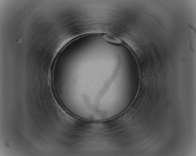 X0000091861468200709191106