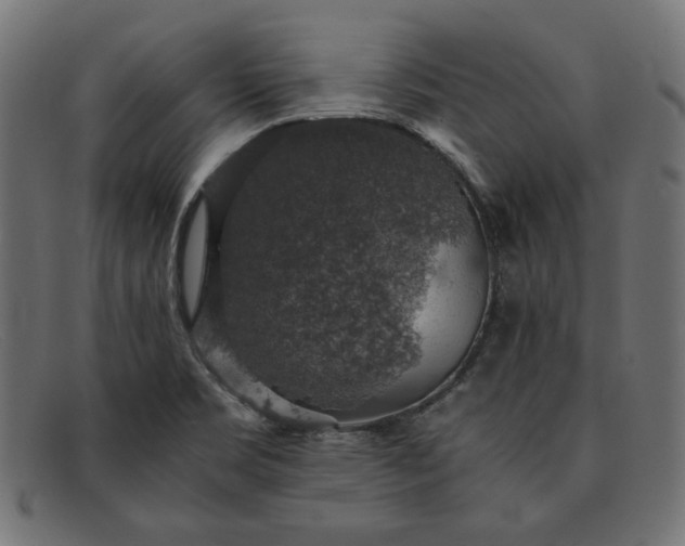 X0000091861469200709191106