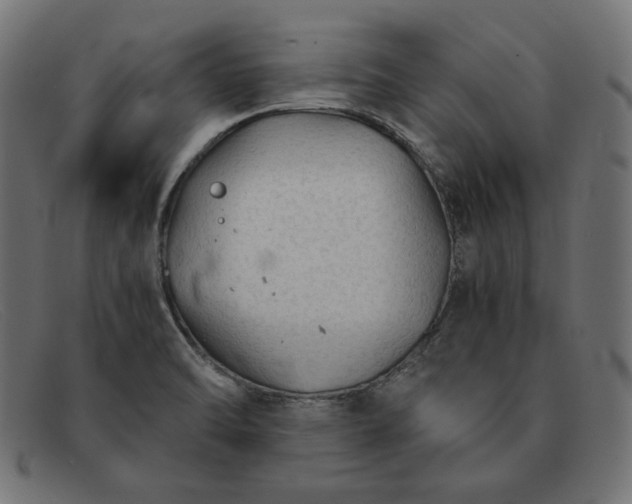 X0000091861470200709191106