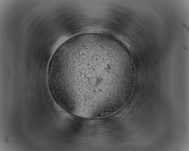 X0000091861471200709191106